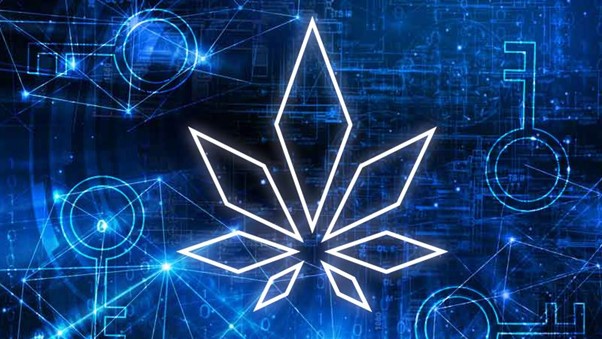 Leveraging Blockchain to Enhance Traceability in the Cannabis Industry